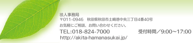 社会福祉法人はまなす会法人事務局TEL0188247000